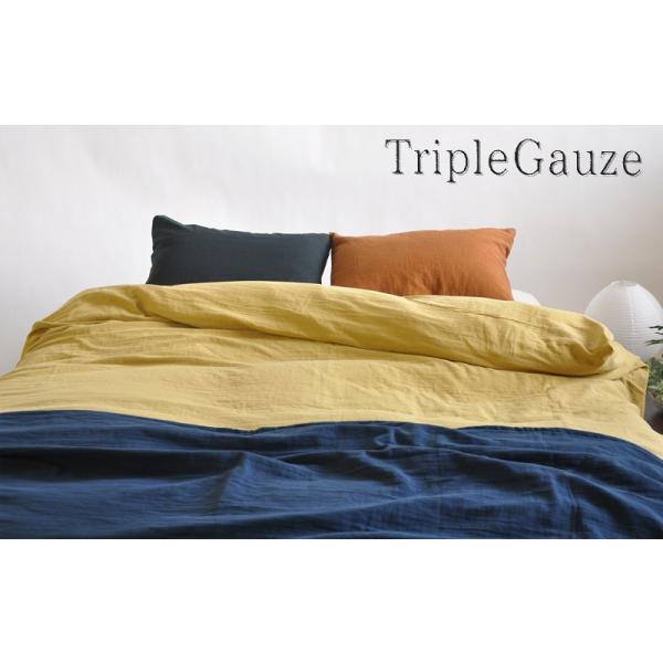 e-ӂƂ񉮂 K[[3dtgvK[[ ~Jo[ ^_uTCYDL