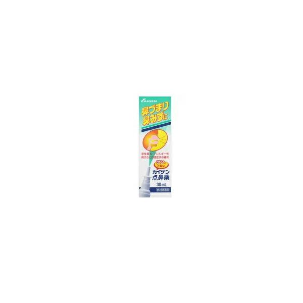 60個セット第2類医薬品カイゲン点鼻薬　　30ml