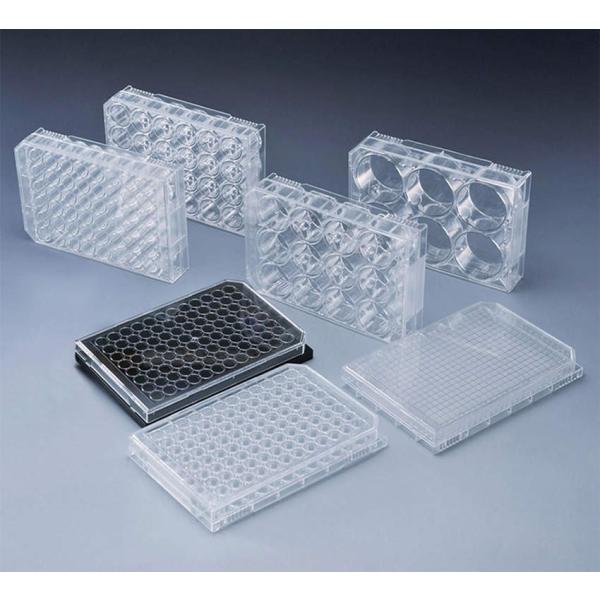 IWAKI ���V�|�{�p�}�C�N���v���[�g 1830-048 50��