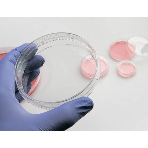 Thermo Fisher Scient �C�[�W�[�f�B�b�V�� 100mm 150466 240��