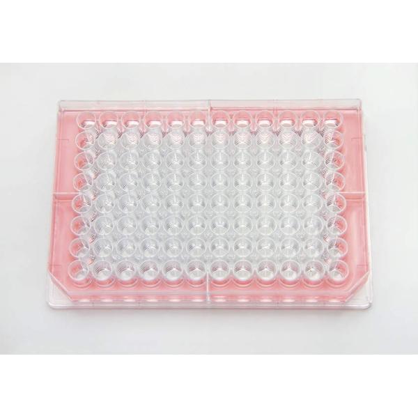 Thermo Fisher Scient �G�b�W�v���[�g2.0 167425 50��