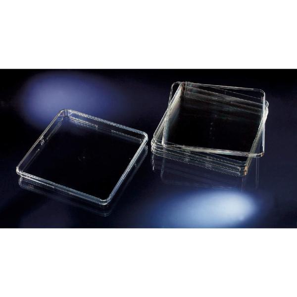 Thermo Fisher Scient �k���N �o�C�I�A�b�Z�C�f�b�V�� No.240845 20��