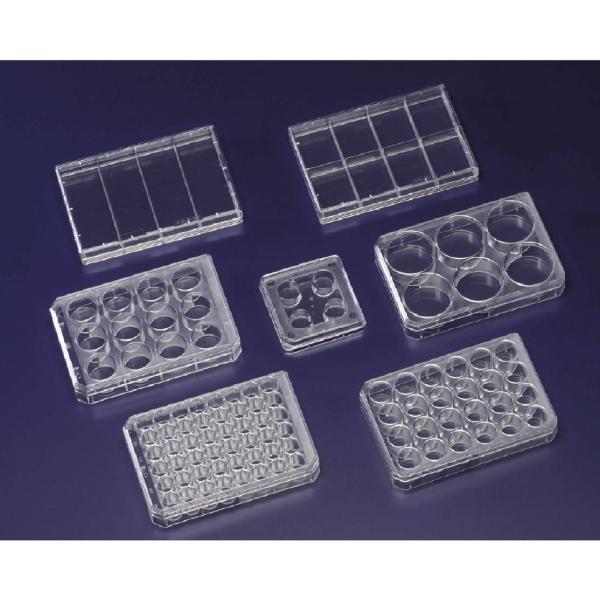 Thermo Fisher Scient �k���N �}���`�f�B�b�V�� 12�E�F�� No.150200 75��