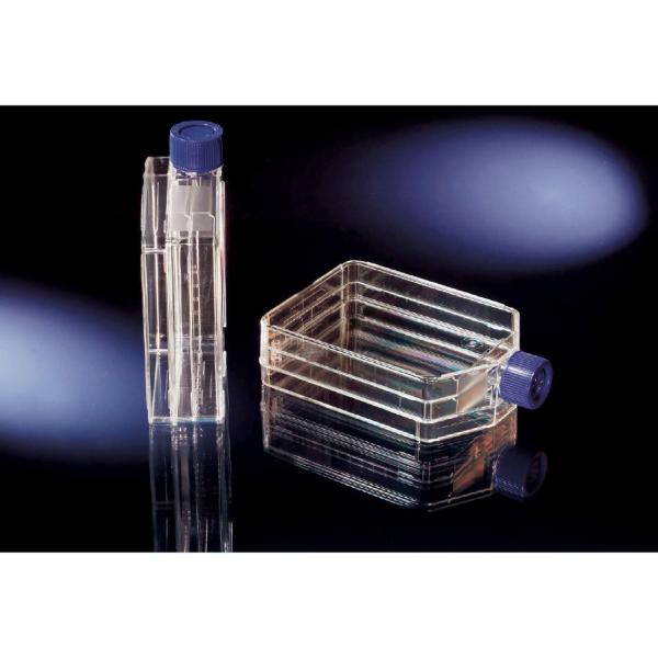 Thermo Fisher Scient �k���N �C�[�W�[�t���X�R No.132913 32��