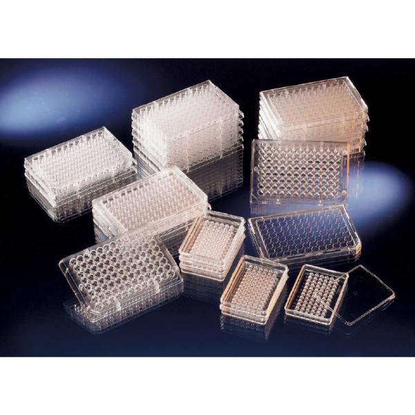 Thermo Fisher Scient �k���N 96�E�F���v���[�g No.156545 180��