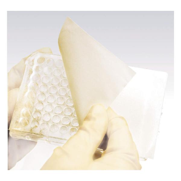 Thermo Fisher Scient �k���N �V�[�����O�e�[�v No.241205 50��