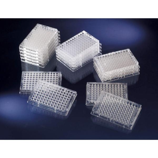 Thermo Fisher Scient �k���N �C���m�v���[�g No.439454 60��