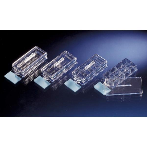 Thermo Fisher Scient �k���N No.154852 16�� CC2�`�F���o�[�X���C�h