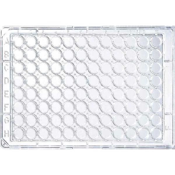 Thermo Fisher Scient UV �}�C�N���^�C�^�[�v���[�g No.8404 40��