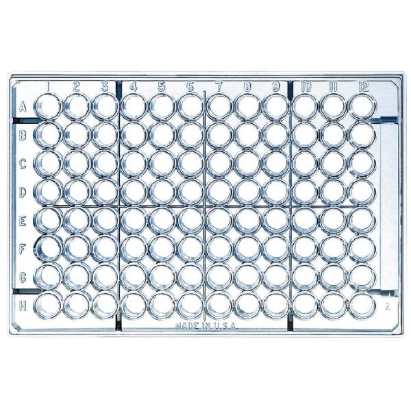 Thermo Fisher Scient 96�E�F���\���b�h�v���[�g �z���C�g 9502887 50��