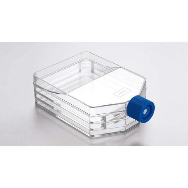 FALCON 353143 �Z���J���`���[�}���`�t���X�R 12�� 3�w �|�{�ʐρF525cm2