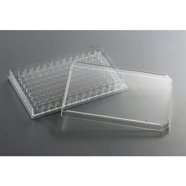 96v[g NA  I^ P96F05S 50