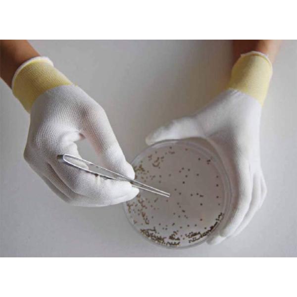 gbvtBbg ȈՕ^Cv L 10o