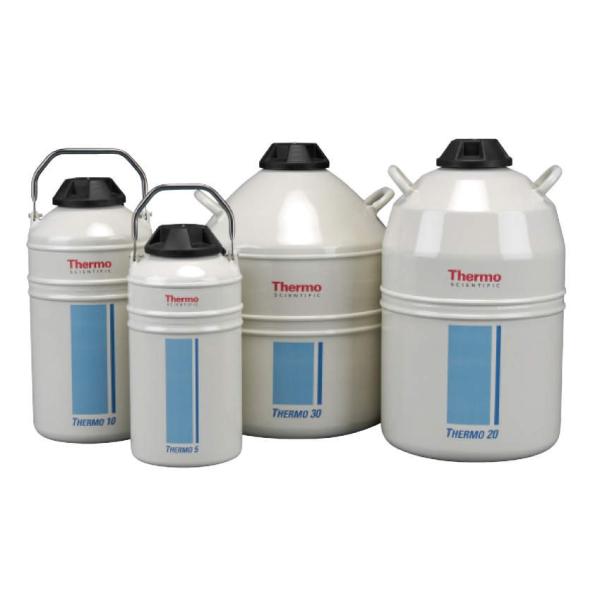 (^) T[C T[30 TY509X4 t̒fۑe