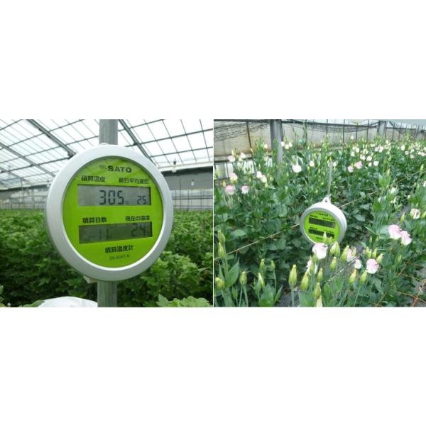 vʊ NO.8094-00 ώZxv nǂ SK-60AT-M