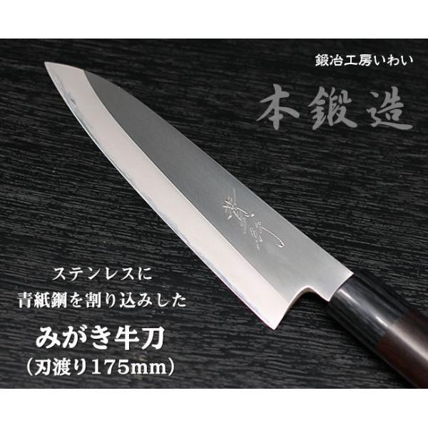 Takeshi114y 　越前打刃物　牛刀　SG2 210mm 7寸　包丁 黒﨑真 Makoto Kurosaki さくら 牛刀包丁210mm SG2粉末ハイス鋼