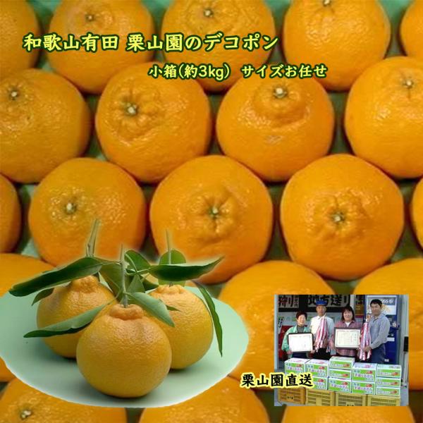 和歌山有田 栗山園のデコポン 小箱(約3kg) サイズおまかせ おおよそ9個