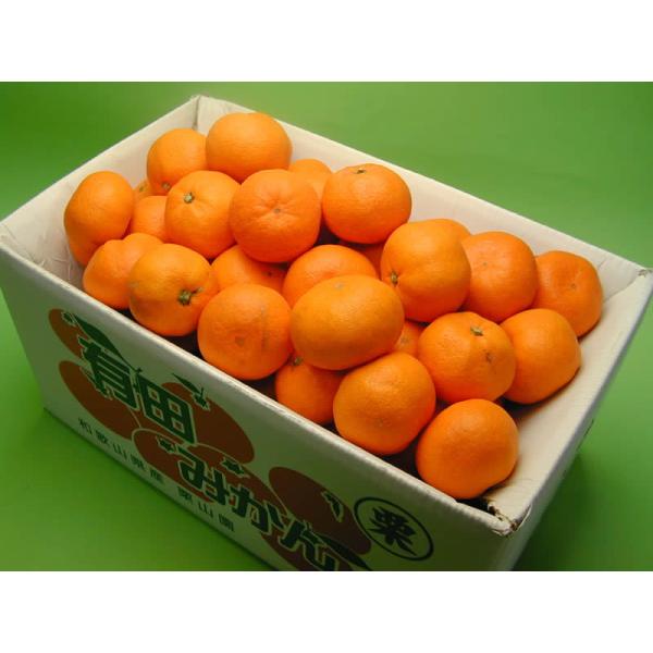 有田みかん　　ひまわり 先行受付】NEWはじめまして 有田みかん(和歌山県湯浅町産)お試し