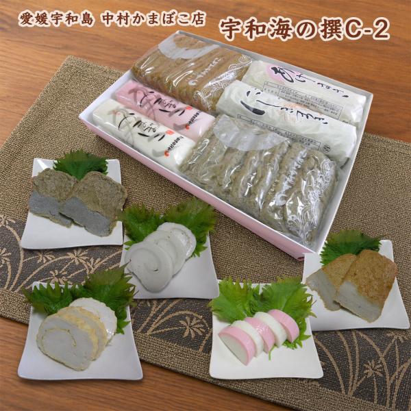 愛媛宇和島 中村かまぼこ 宇和海の撰C-2 製造元直送 じゃこ天 中村天ぷら 紅白かまぼこ あげまき にしき巻き セット 詰め合わせ 御贈答