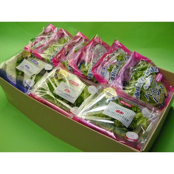 【送料無料(本州、四国、九州）】北海道は・沖縄は1000円となります。【大阪府立大学植物工場直送】●　バタビアレタスはフランスで育成されたレタスです。レタス本来の甘みがあり、お子様にも食べ易いレタスです。●　リーフミックスサラダマイルドには...