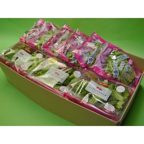 ���{����w�A���H��@�o�^�r�A���^�X(��70g)�U�E���[�t�~�b�N�X�T���_�X�p�C�V�[(��35g)6��