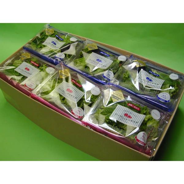 【送料無料(本州、四国、九州）】北海道は・沖縄は1000円となります。【大阪府立大学植物工場直送】●リーフミックスサラダマイルド(35g)6個・リーフミックスサラダスパイシー(35g)6個のセットです。●　リーフミックスサラダマイルドには１...