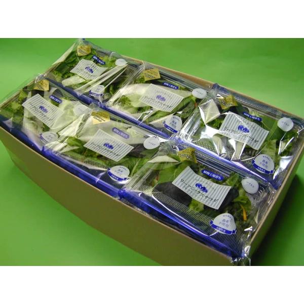 【送料無料(本州、四国、九州）】北海道は・沖縄は1000円となります。【大阪府立大学植物工場直送】●リーフミックスサラダマイルド(35g)12個入りのセットです。●　リーフミックスサラダマイルドには１袋にスイスチャード、ピノグリーン（緑・赤...