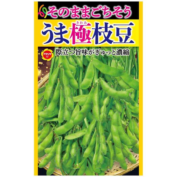 ※こちらは種子になります※在庫不足の場合メーカーより取り寄せになります。※メーカー欠品の場合、勝手ながらご注文をキャンセルまたは数量を変更させていただきます。「うま極枝豆」は、さやつきが良く多収穫で、生育旺盛な作りやすい枝豆です。ふっくらや...