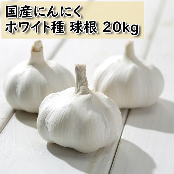 国産にんにくホワイト種 20kg サイズ無差別 混み玉 ニンニク栽培