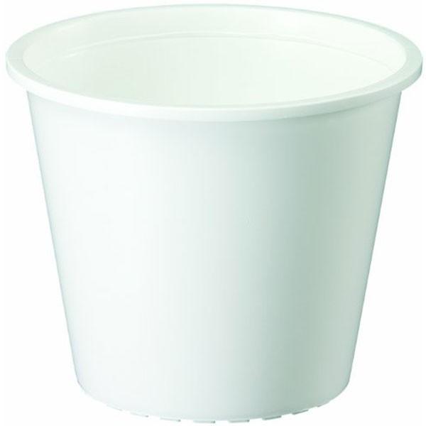 プラ鉢 6号 ホワイト 大和プラスチック 鉢