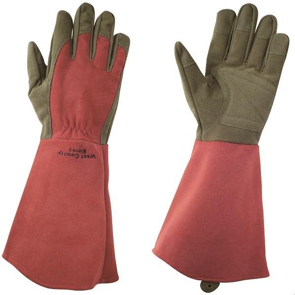 with garden West County Rose(EFXgJEeB[[Y) r[ LTCY aR[|[V 