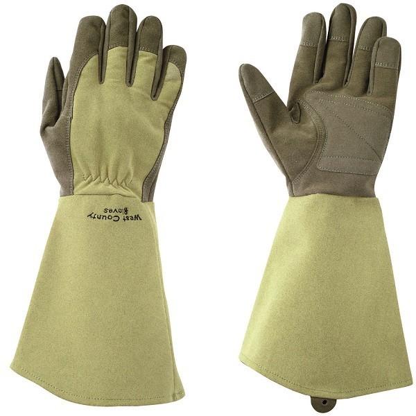 with garden West County Rose(EFXgJEeB[[Y) X LTCY aR[|[V 