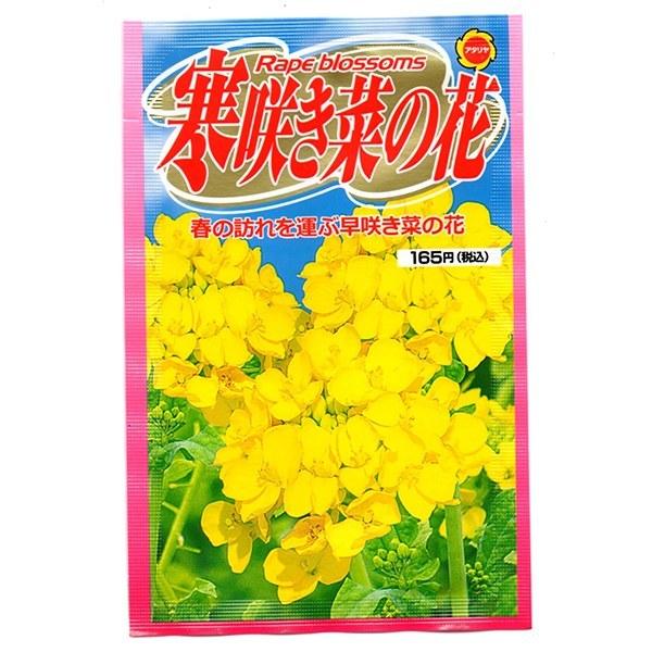 菜の花 種の人気商品・通販・価格比較 - 価格.com 菜の花 種の人気商品・通販・価格比較 - 価格.com