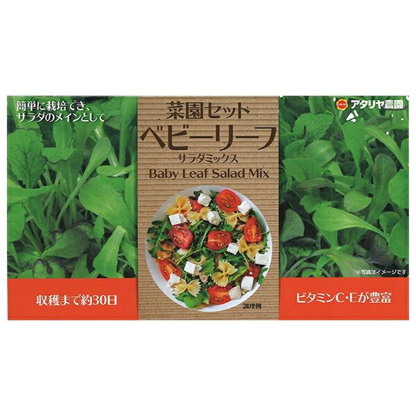 アタリヤ農園 野菜種 栽培セット ベビーリーフサラダミックス E Hanas イーハナス Yahoo 店 通販 Yahoo ショッピング