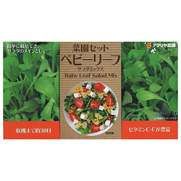 アタリヤ農園 野菜種 栽培セット ベビーリーフサラダミックス M E Hanas イーハナス Yahoo 店 通販 Yahoo ショッピング