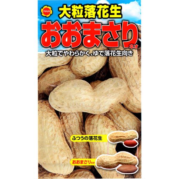 大粒落花生 おおまさりネオ アタリヤ農園 野菜種 M : e-hanas 大粒落花生 おおまさりネオ アタリヤ農園 野菜種 M : e-hanas