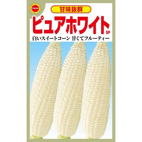 ※こちらは種子になります※在庫不足の場合メーカーより取り寄せになります。※メーカー欠品の場合、勝手ながらご注文をキャンセルまたは数量を変更させていただきます。白いスイートコーン甘くてフルーティー純白色粒で播種後88日前後で収穫できる中生種で...