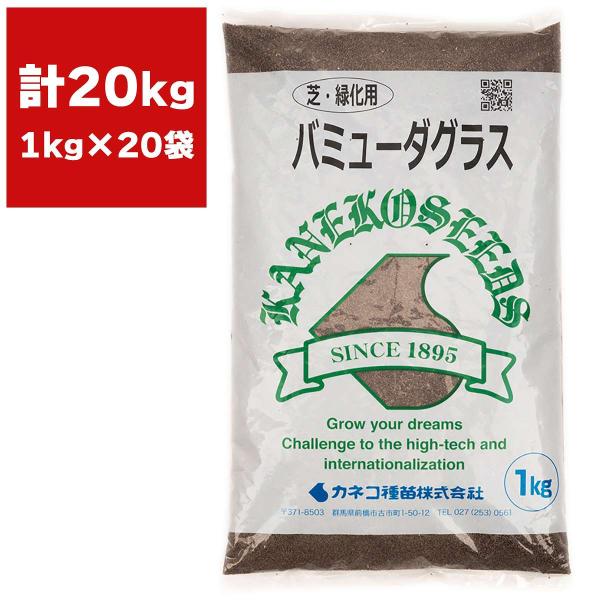 バミューダグラス 20kg (1kg×20袋) カネコ種苗 種 芝 芝生 西洋芝 種子