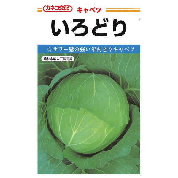 大容量 営利種 キャベツ いろどり ペレット5000粒 カネコ交配 カネコ種子 野菜種子 キャベツ種子 野菜種 種子 野菜 種 野菜 種子 キャベツ 種 野菜の種