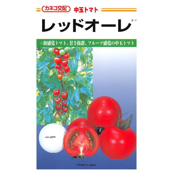 大容量レッドオーレ中玉トマト種100粒の魅力と栽培法