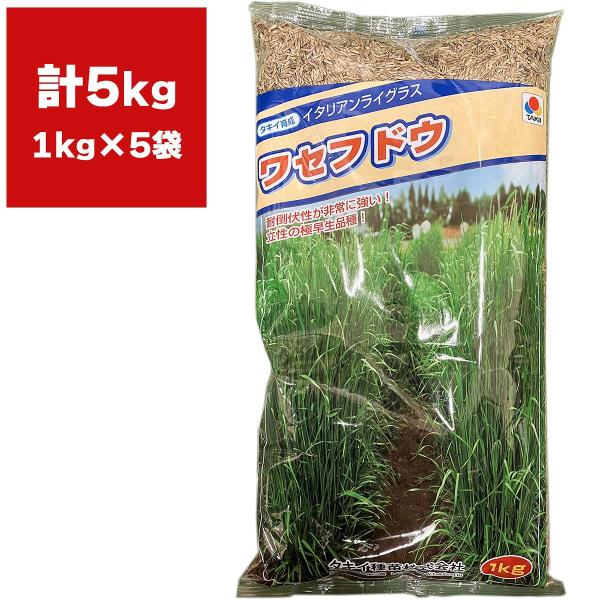 ※メーカーより直送品となります。当店から出荷される商品と一緒に購入された場合別途送料が発生致しますご了承ください。有効期限最低3カ月以上の商品を発送させていただきます。それ以下の期限になる場合、当店よりメールまたはお電話にてご連絡させていた...