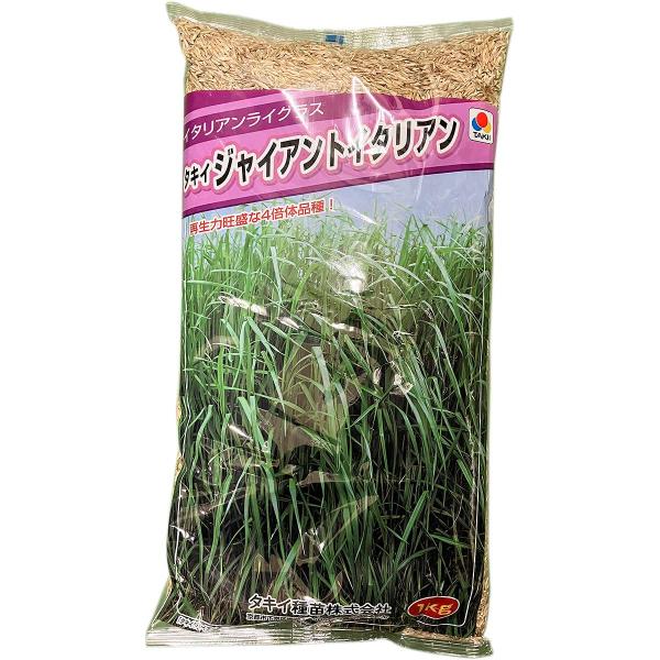 ※メーカーより直送品となります。当店から出荷される商品と一緒に購入された場合別途送料が発生致しますご了承ください。有効期限最低3カ月以上の商品を発送させていただきます。それ以下の期限になる場合、当店よりメールまたはお電話にてご連絡させていた...