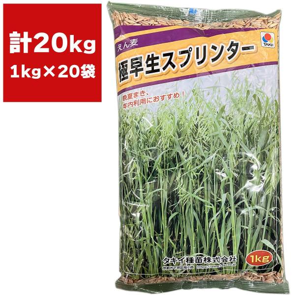 ※メーカーより直送品となります。当店から出荷される商品と一緒に購入された場合別途送料が発生致しますご了承ください。有効期限最低3カ月以上の商品を発送させていただきます。それ以下の期限になる場合、当店よりメールまたはお電話にてご連絡させていた...