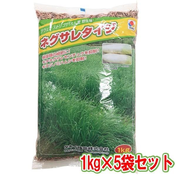 AEFiXgST ( 쐶) lOT^CW 5kg (1kg×5) ^LCc GoN  GoN q    q Δ  Δ q