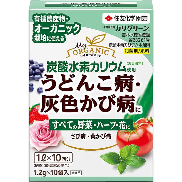 Eۍ JO[ 1.2g×10ܓ KINCHO| Eۍ _ Eۍ  Eۍ n[u Eۍ  aC \h  aC h 엿 J엿 M6