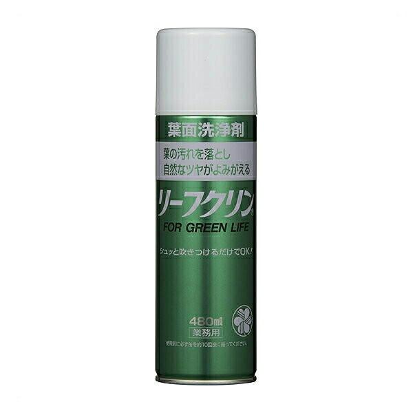 tʐ [tN 480ml Ɩp KINCHO| tʎUz ϗtA |pi  o  A | CeA 