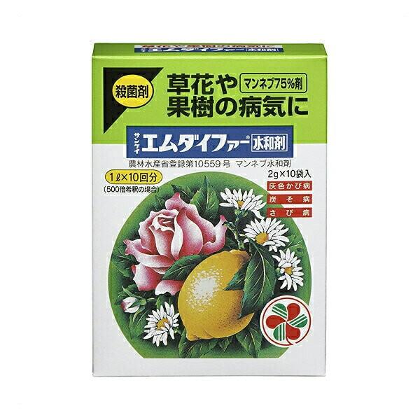 Eۍ TPC G_Ct@[ a 2g×10ܓ KINCHO| Eۍ _ Eۍ G_Ct@[ Eۍ }lu a Eۍ aC \h aC h M6