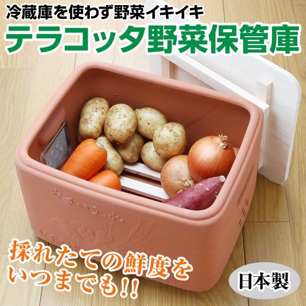 冷蔵庫を使わず野菜イキイキ テラコッタ野菜保管庫 はぴねすくらぶ Paypayモール店 通販 Paypayモール