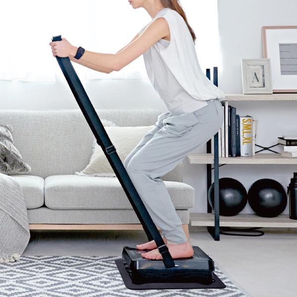 限定値下げ！新品未使用 ルルド シェイプアップボード | www.jarussi