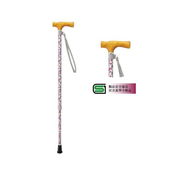 @2iLkXebL@V02461@Ђ܂@V2^^Cv@